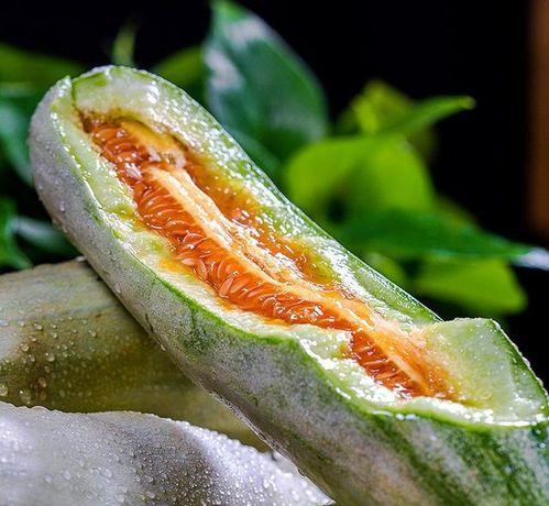 网红吃瓜头像图片大全,趣味横生的表情包盛宴