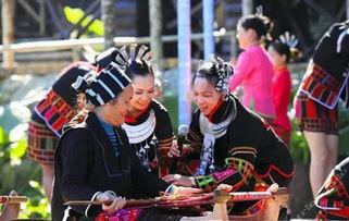 二驴爆料海南聚会视频,狂欢现场揭秘